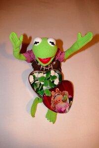 Gummibärchen rubber frogs box