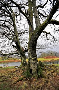 Nature landscape country