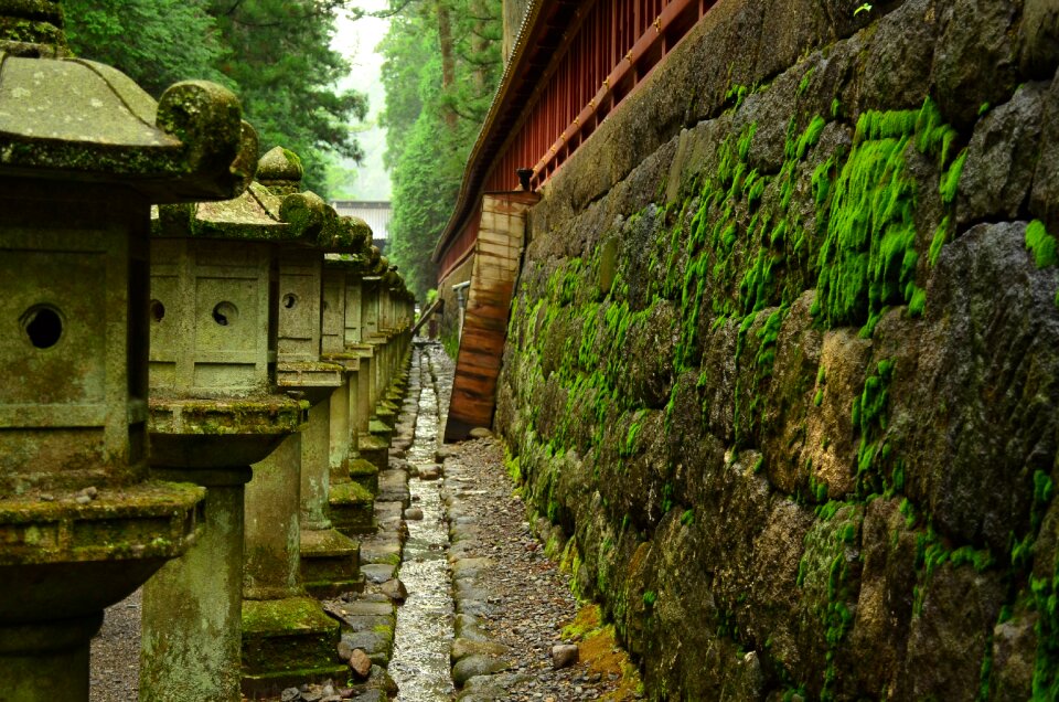 Toshogu shrine stone lanterns sunlight