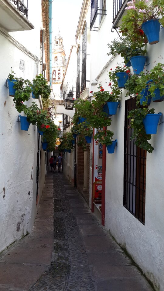 Spain quaint gray box