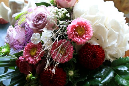Tender pink white