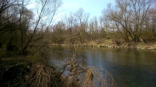 Nature wilderness forest