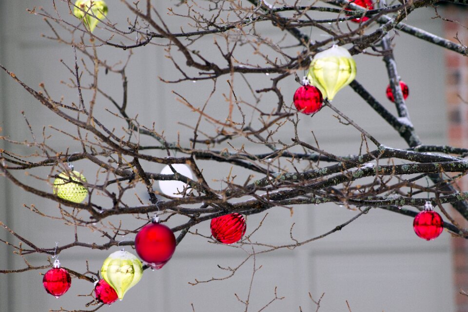 Winter decoration