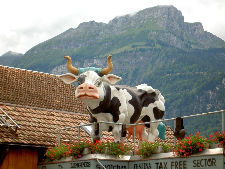Switzerland brienz