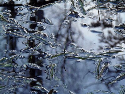 Liquid surface