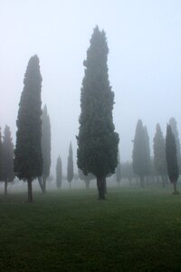 Cypress background fog