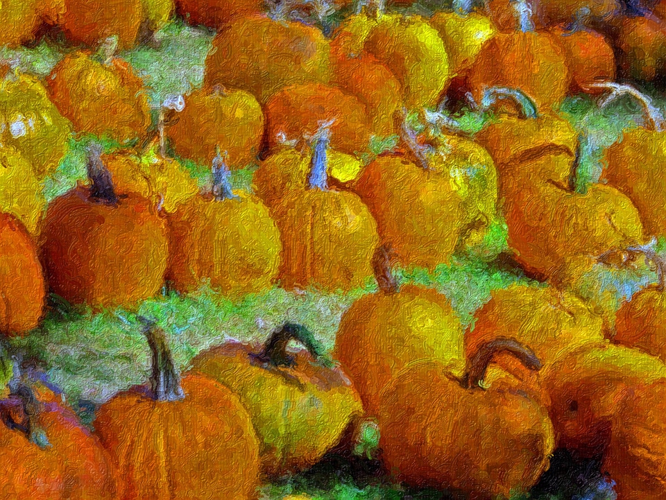 Harvests harvesting paintings