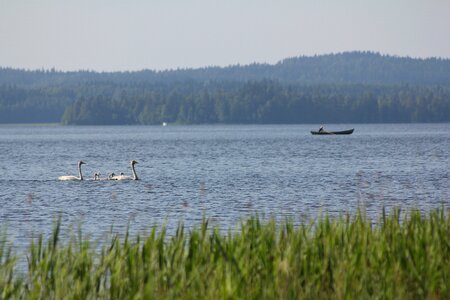 Peace silence lake photo