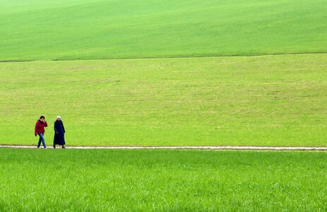 Nature landscape in the green