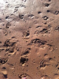 Beach sand photo