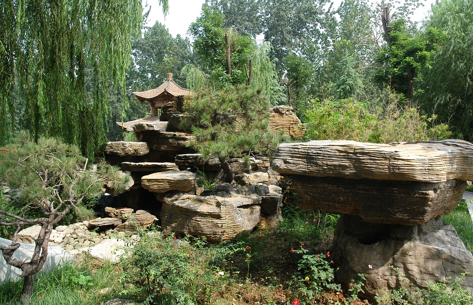 Wilderness scenery natural
