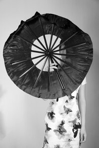 Classical cheongsam beauty