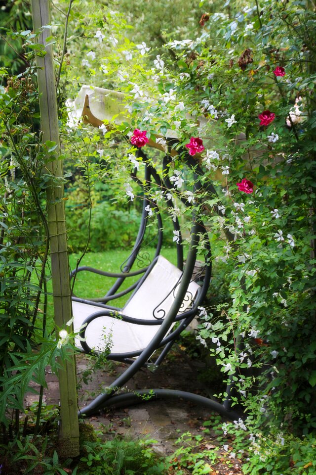 Recovery romance flowers