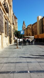 Carriage buggy parking