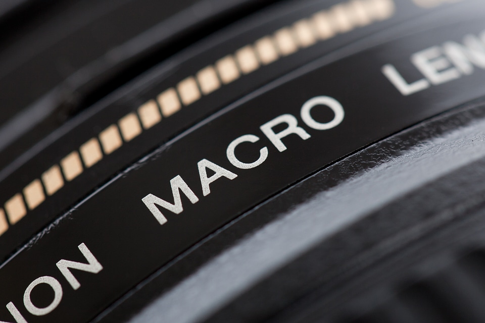 Macro photograph black