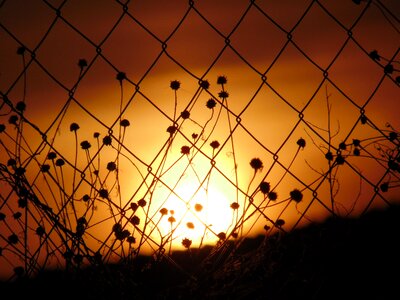 Orange sun fence