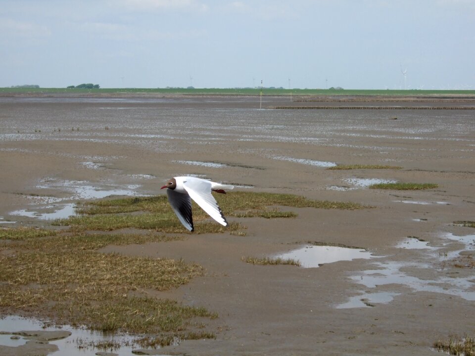 Coast maritime beach