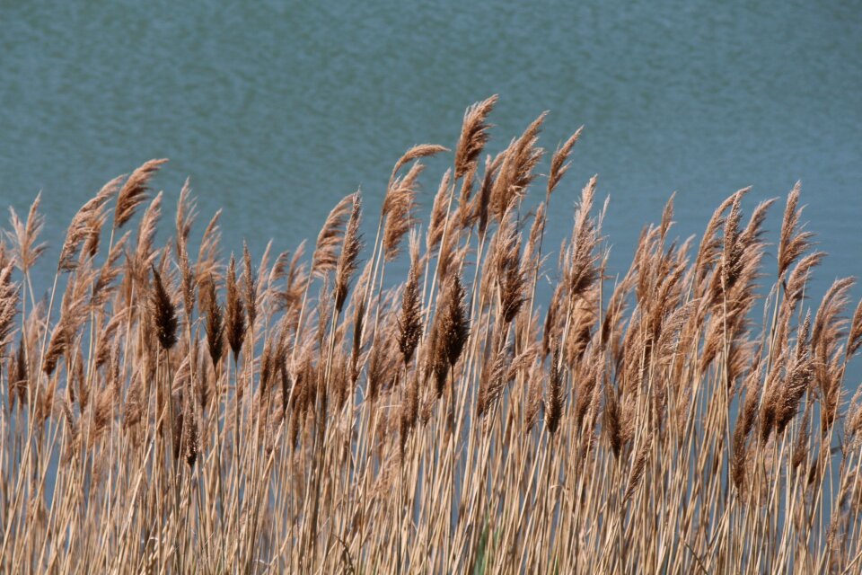 Outdoor summer water