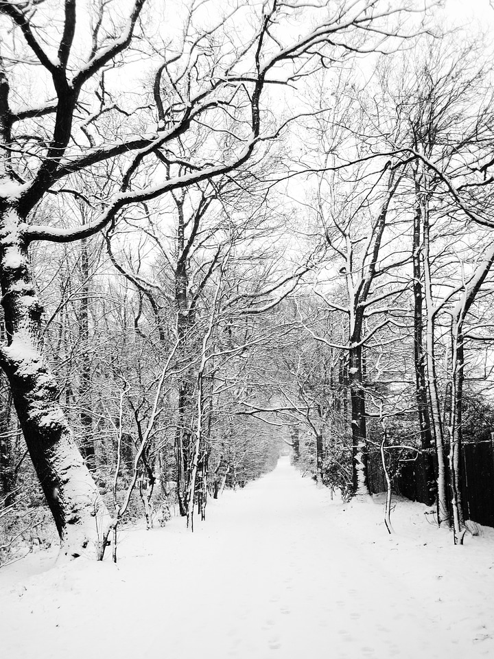 Covered ice landscape photo