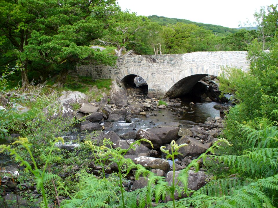 Nature scenic river landscape