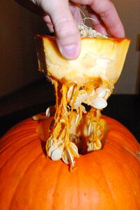 Carving october jack-o-lantern photo