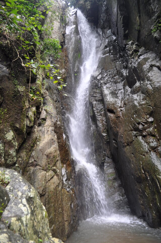 Forest wild cascade
