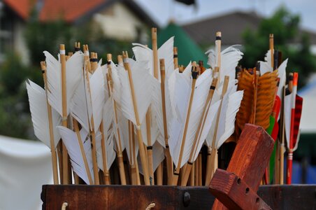 Arrows dart sacca