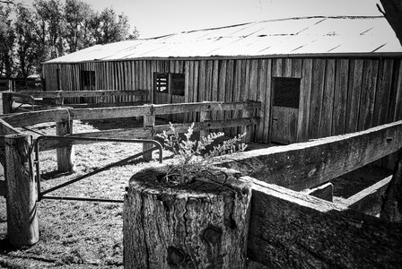 Wooden stables weathered photo