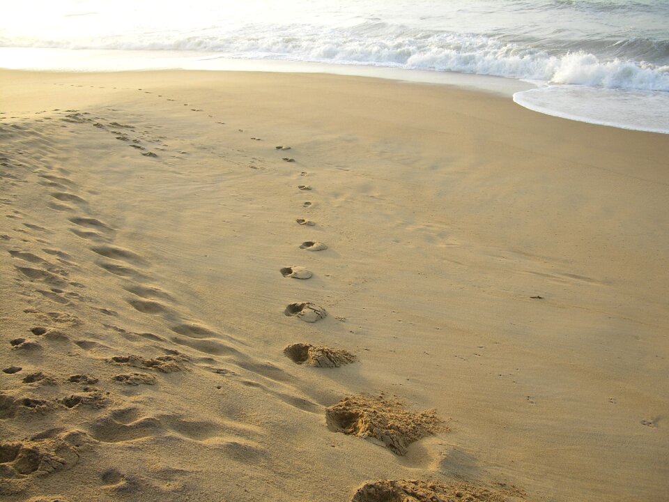 Ocean coast tracks