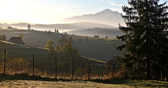 Nature in the morning the fog photo