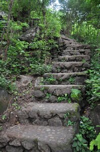 Stone forest nature