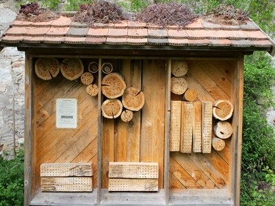 Hibernation help nature conservation bee hotel photo