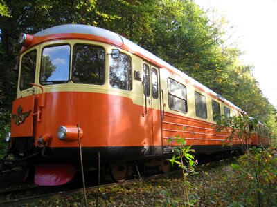 Tree autumn rails