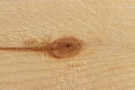Texture bohlen background
