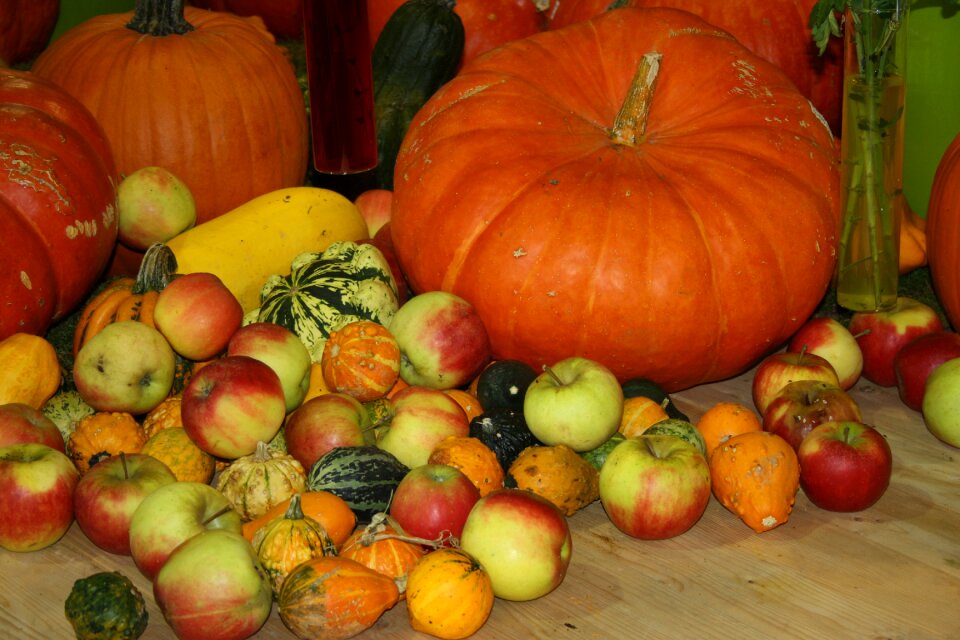 Autumn decoration gourd