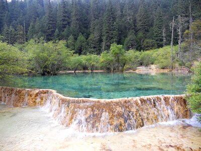Green the scenery natural beauty