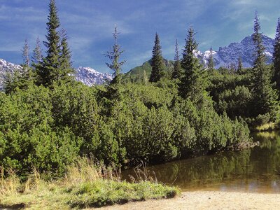 The high tatras scenery the national park photo