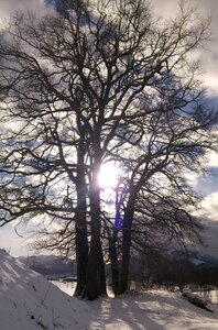 Sunlight atmosphere landscape