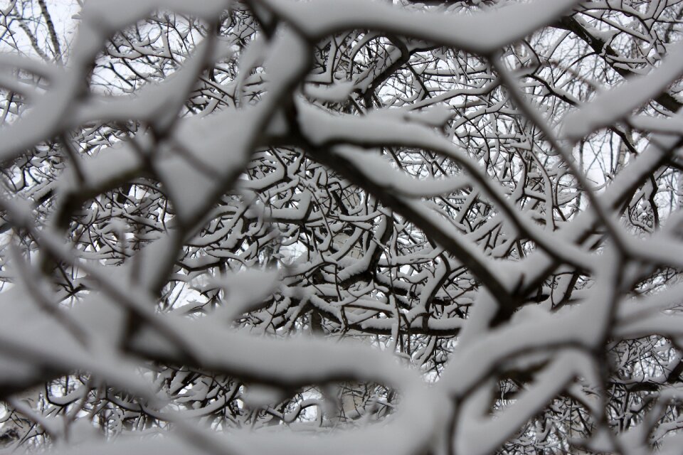 Winter snow snowflakes