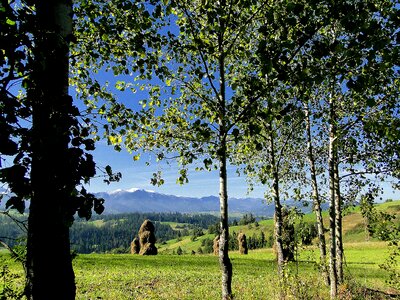Podhale mountains sunny