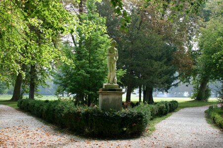 Trees green france