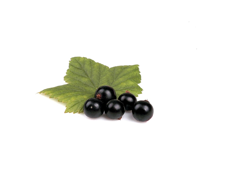 Food fruit fresh