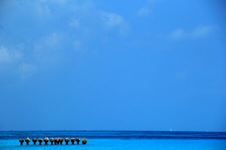 Beach landscape ocean photo