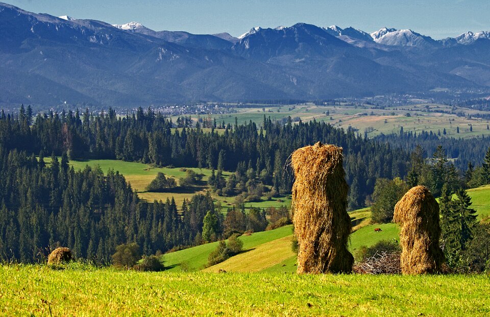 Stacks of hay view landscape