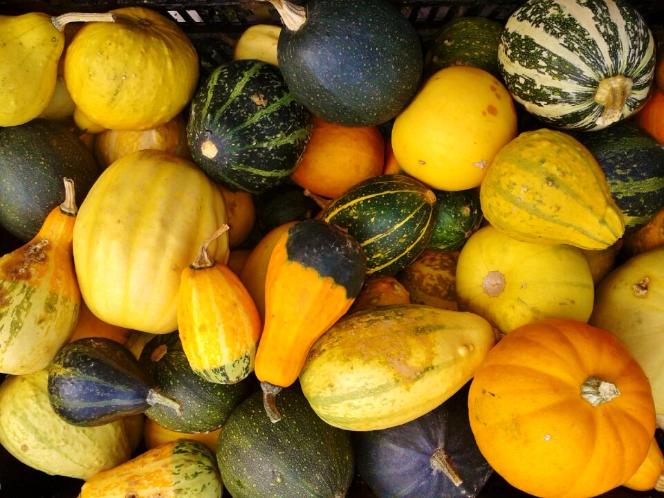 Nature thanksgiving decoration