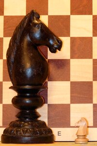 Horse rössl chess board photo