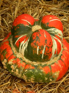 October fall seasonal