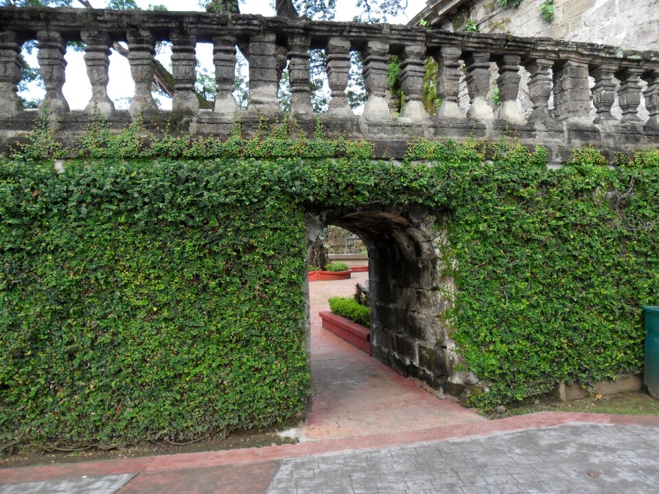 Wall structure green wall