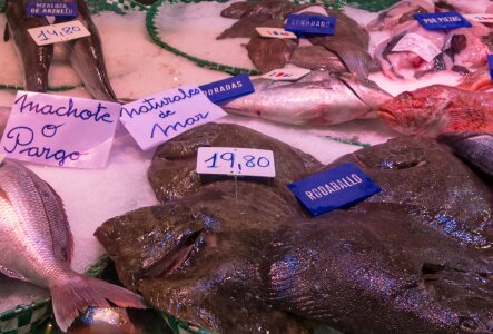 Fish shop market prices
