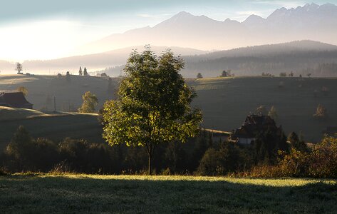 Polish tatras morning tree photo